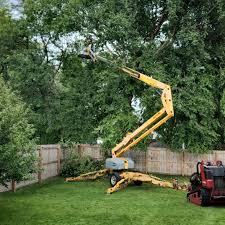 Best Firewood Processing and Delivery  in Lochbuie, CO
