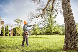 Best Landscape Design and Installation  in Lochbuie, CO